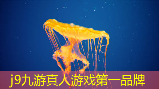 j9九游真人游戏第一品牌：3d游戏娱乐设备