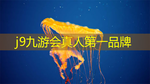 j9九游会官网-真人游戏第一品牌：碧蓝档案游戏策划部