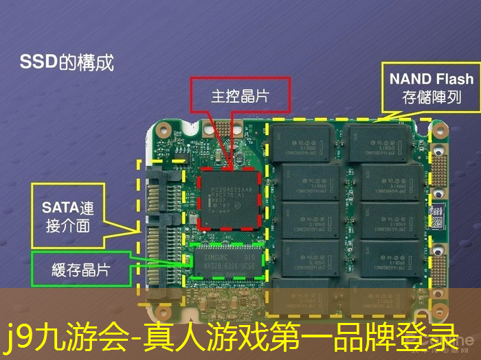 j9九游会官网-真人游戏第一品牌：拿锤子的3d游戏有哪些