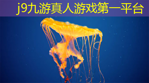 j9九游会真人第一品牌：粘性球3d游戏名字大全