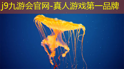 j9九游真人游戏第一平台：小程序奇趣猎人怎么玩游戏