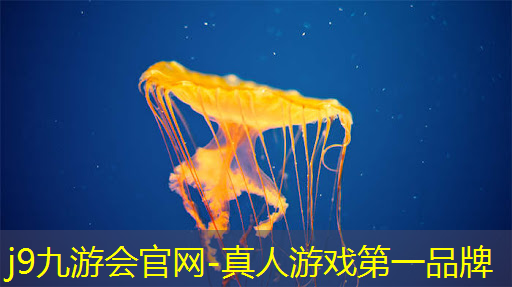 不晕3d笔记本游戏