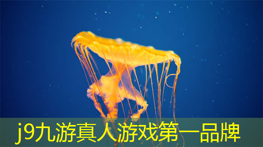 j9九游会官网-真人游戏第一品牌：游戏原画课程内容分析