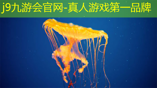 j9九游真人游戏第一品牌：单机游戏3d类闯关的游戏
