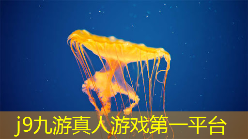 3d找不同恐怖游戏