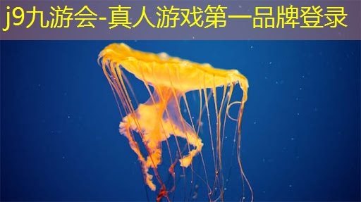 j9九游会-真人游戏第一品牌登录：游戏原画设计落地教程