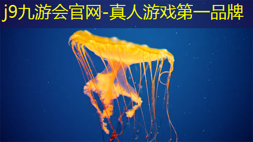3d游戏娱乐设备