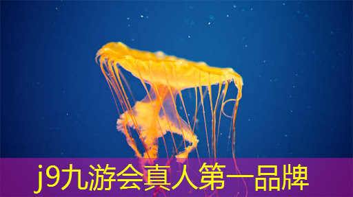 粘性球3d游戏名字大全