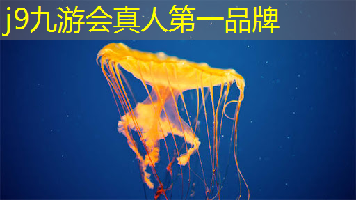 小程序奇趣猎人怎么玩游戏