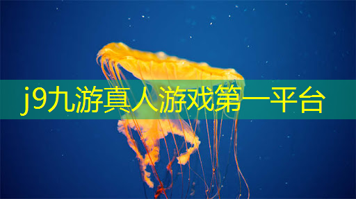 游戏角色原画和建模的区别