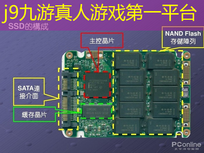 共同发育3d版小游戏大全