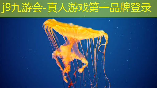 游戏原画课程内容分析