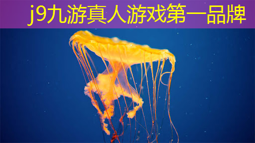 初二孩子想做电竞选手