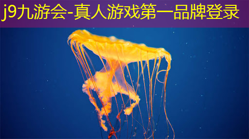 旧3d电脑射击游戏