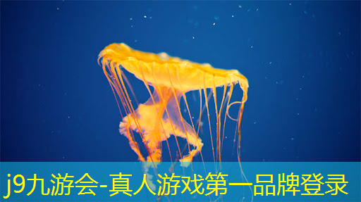单机游戏3d类闯关的游戏