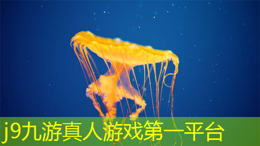 捡钱小游戏3D版
