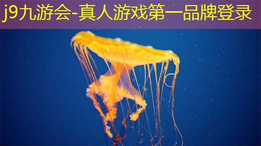 3d建模如何实现游戏功能